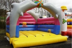 Bouncy Castle Manufacturer