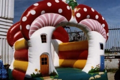 Bouncy Castle Manufacturer